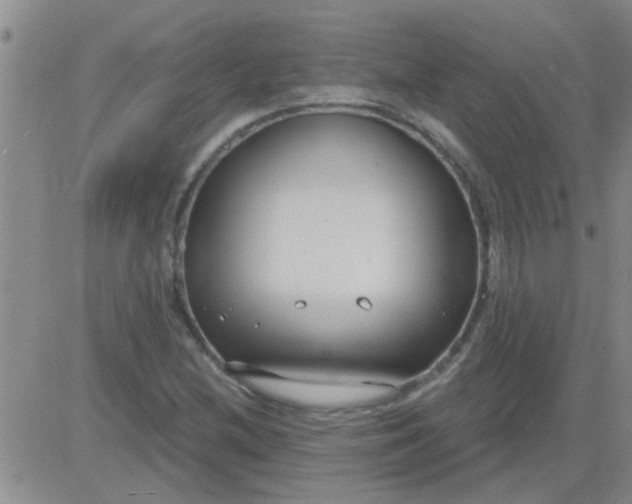 X0000083991212200703021930