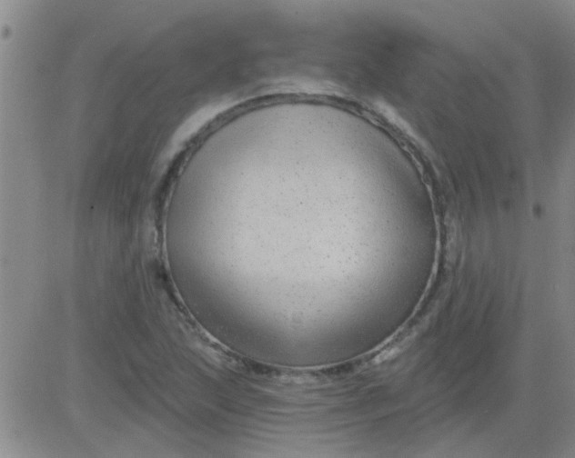 X0000083991215200703021930