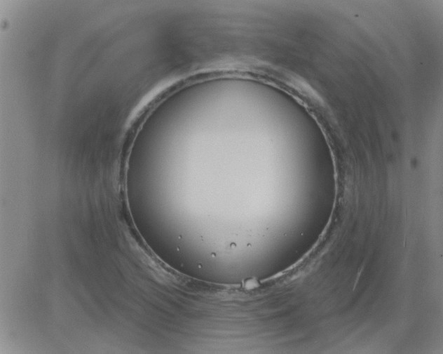 X0000083991216200703021930