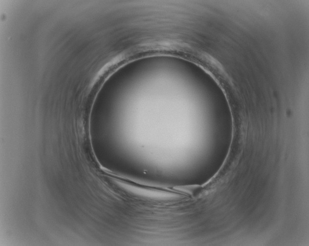 X0000083991218200703021930