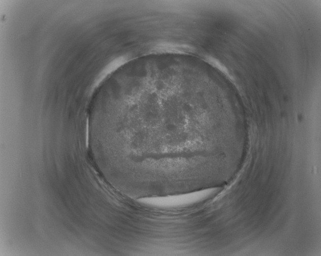 X0000083991219200703021930