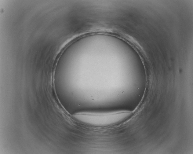 X0000083991220200703021930