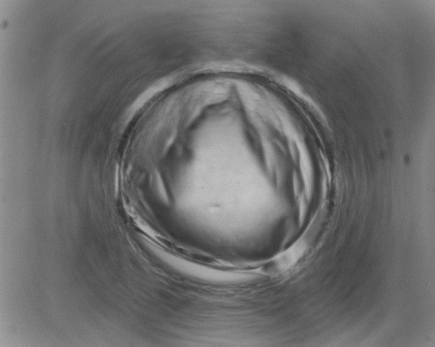 X0000083991221200703021930