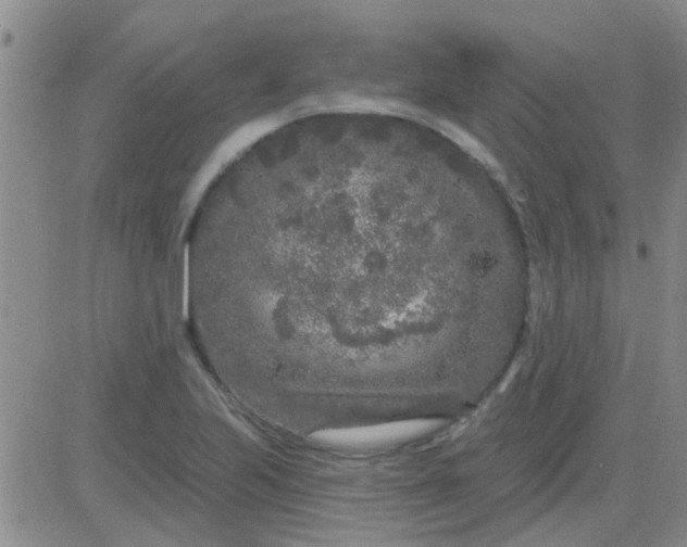 X0000083991223200703021931