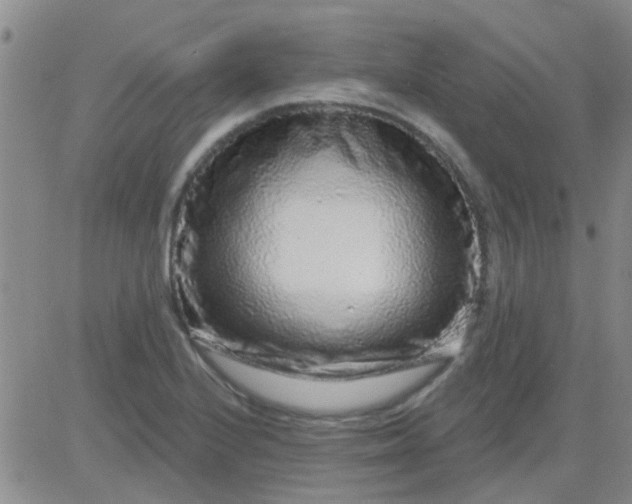 X0000083991224200703021931