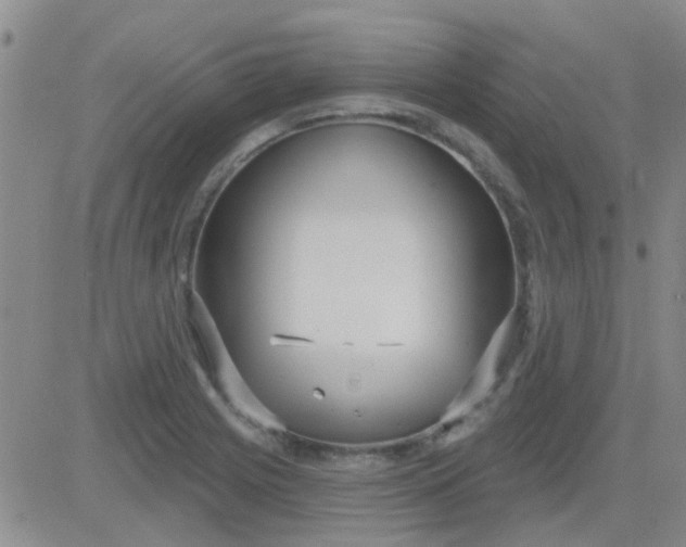 X0000083991225200703021931