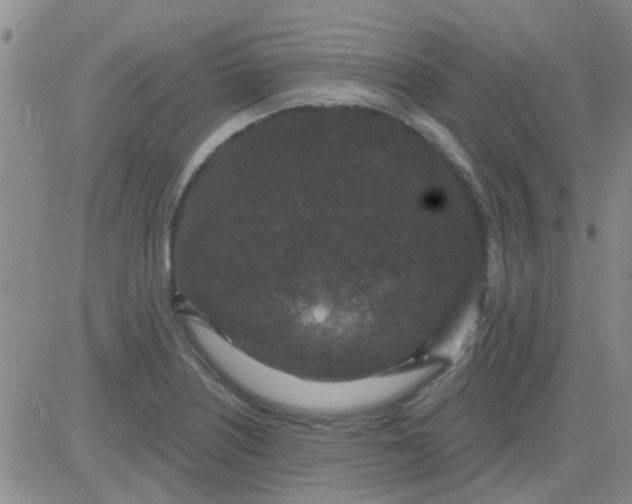 X0000083991226200703021931