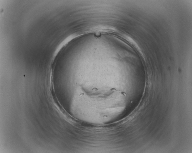 X0000083991227200703021931