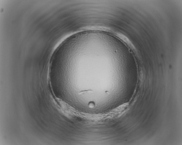 X0000083991228200703021931