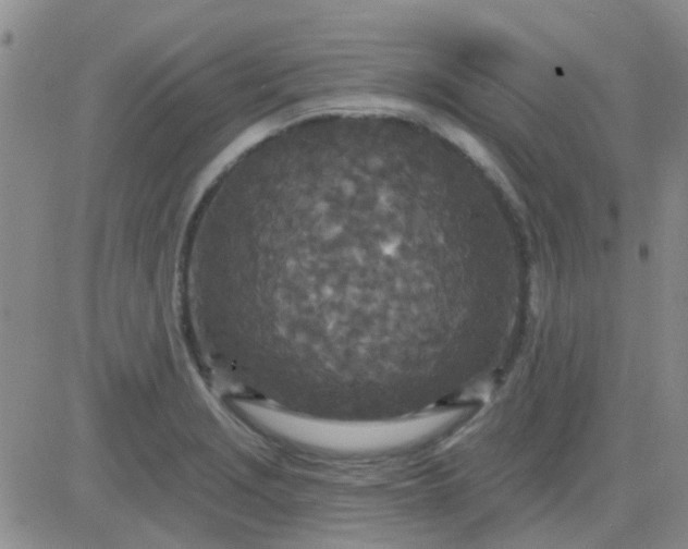 X0000083991229200703021931