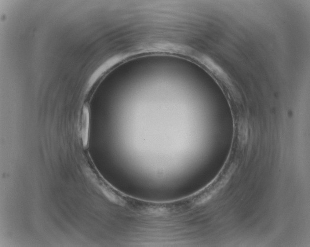 X0000083991230200703021931