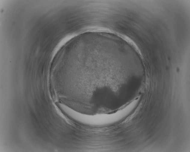 X0000083991231200703021931