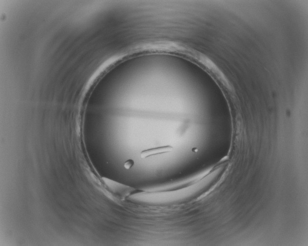 X0000083991232200703021931