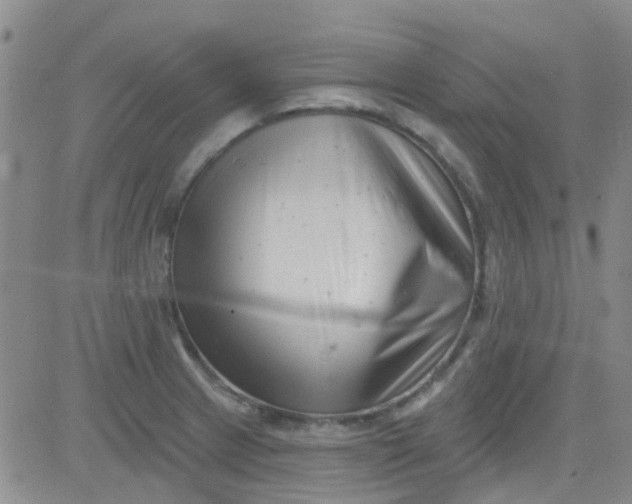 X0000083991233200703021931