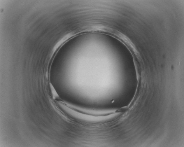 X0000083991234200703021931