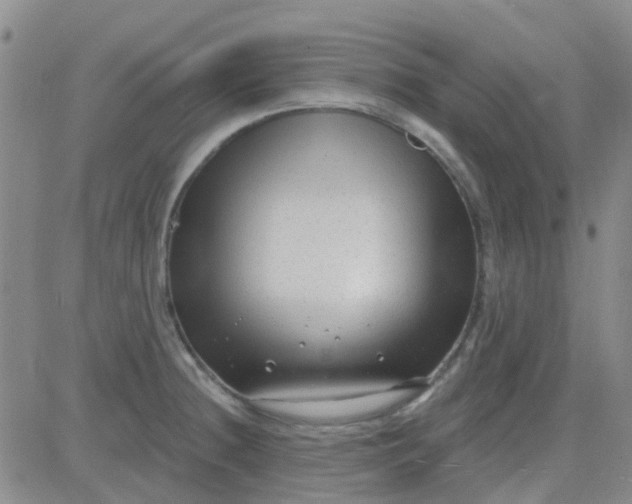 X0000083991236200703021931