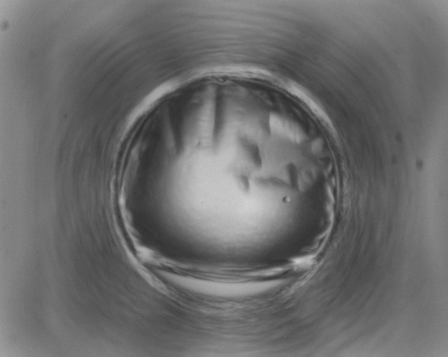 X0000083991237200703021931