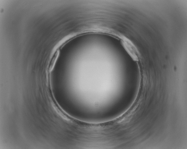 X0000083991238200703021931