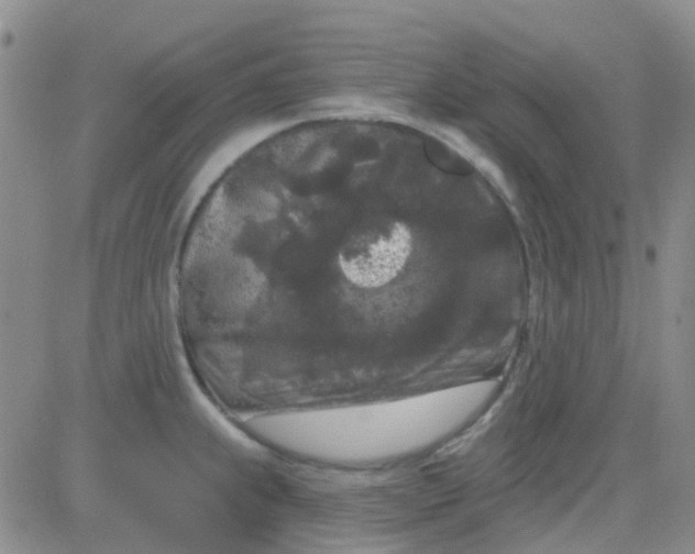 X0000083991239200703021931