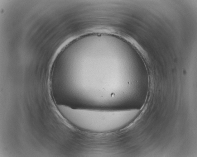 X0000083991240200703021931