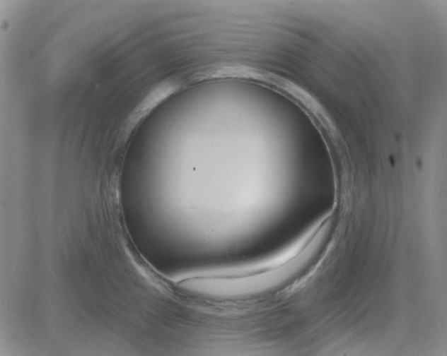 X0000083991241200703021931