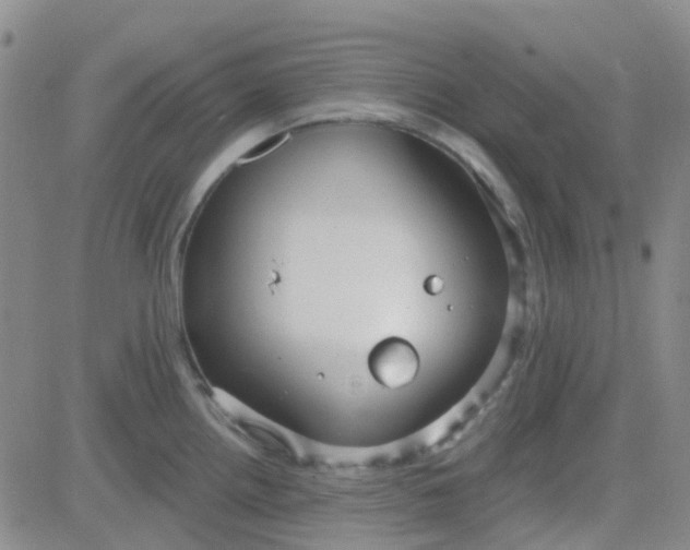 X0000083991242200703021931