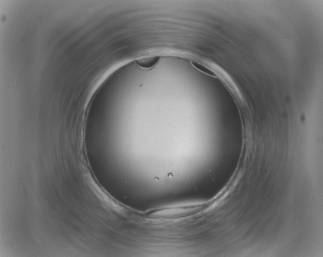 X0000083991244200703021931