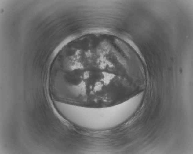 X0000083991245200703021931