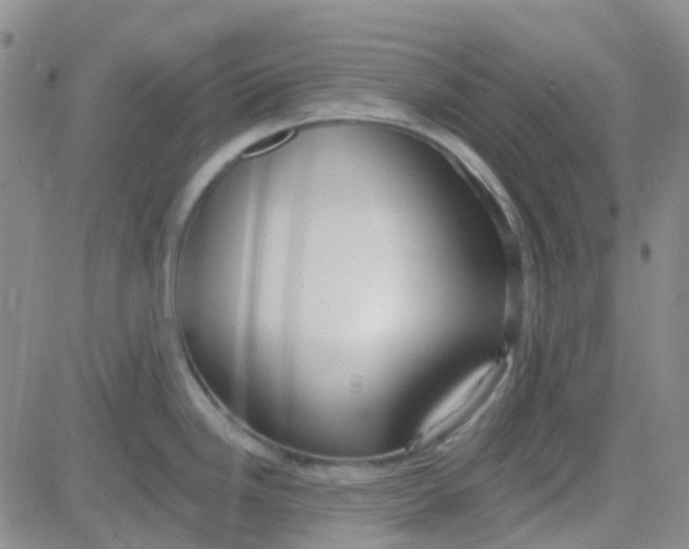 X0000083991246200703021931