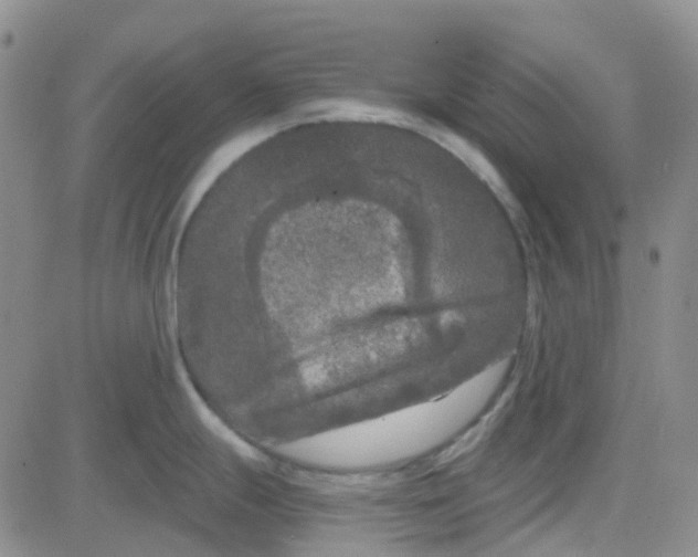 X0000083991247200703021931