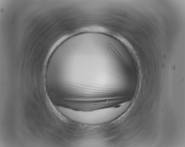 X0000083991248200703021931