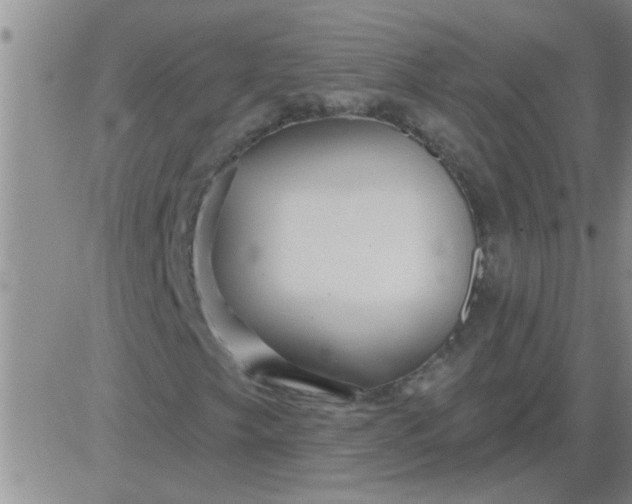 X0000083991249200703021930