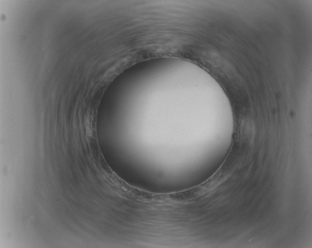 X0000083991250200703021930