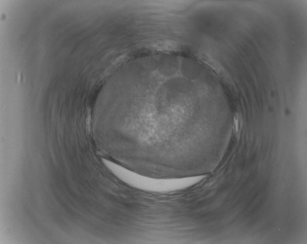 X0000083991251200703021930