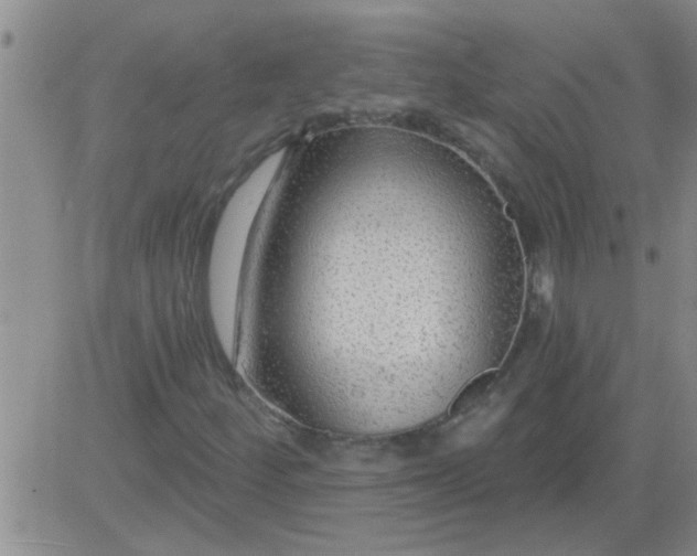 X0000083991252200703021930