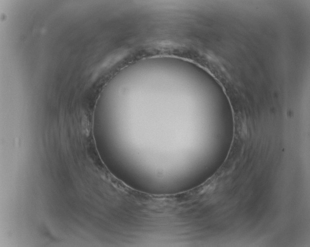 X0000083991253200703021930