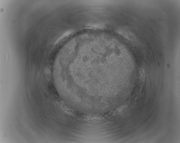 X0000083991254200703021930