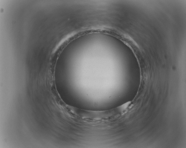 X0000083991256200703021930