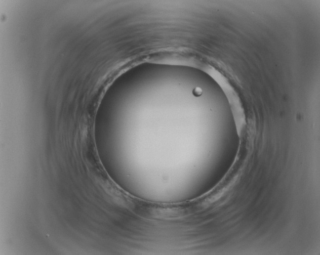 X0000083991257200703021930