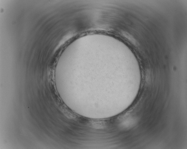 X0000083991258200703021930