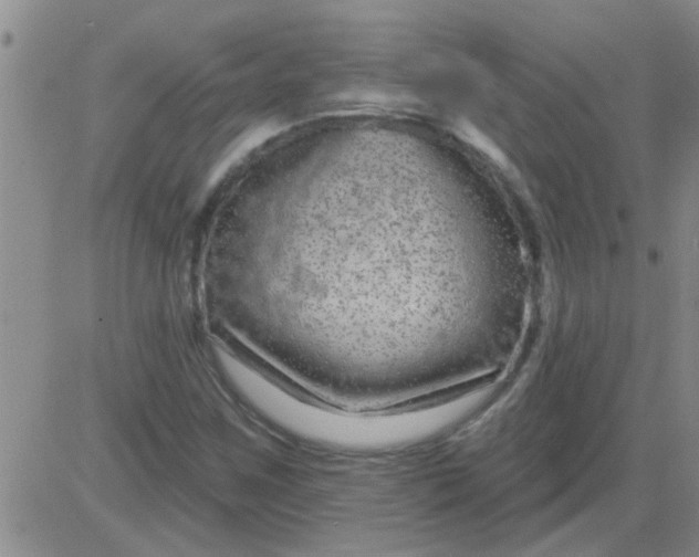 X0000083991259200703021930