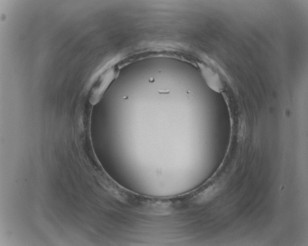 X0000083991261200703021930