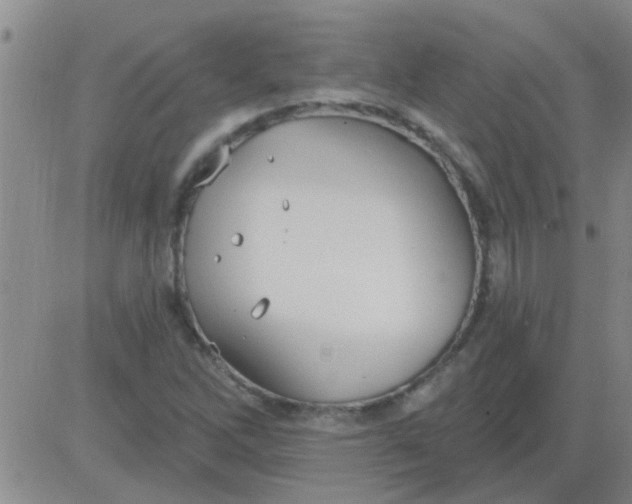 X0000083991262200703021930