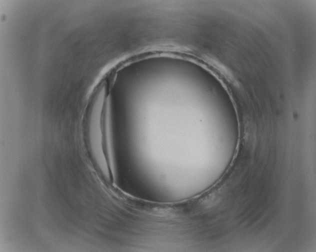 X0000083991264200703021930