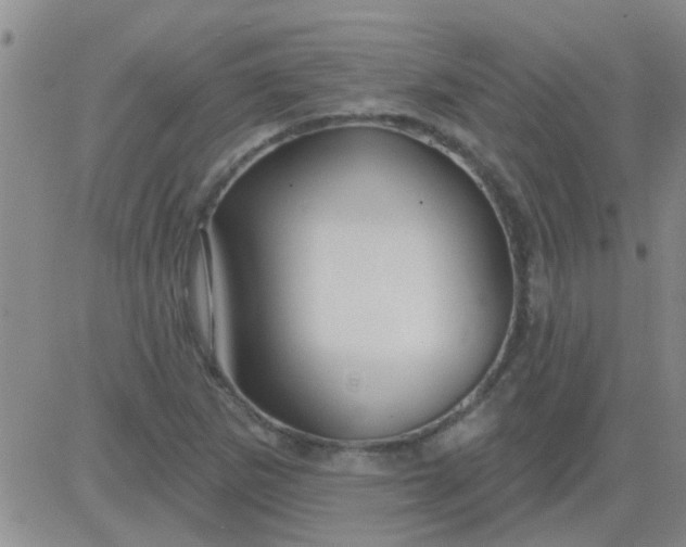 X0000083991265200703021930