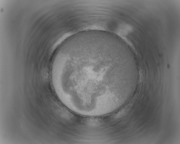 X0000083991266200703021930