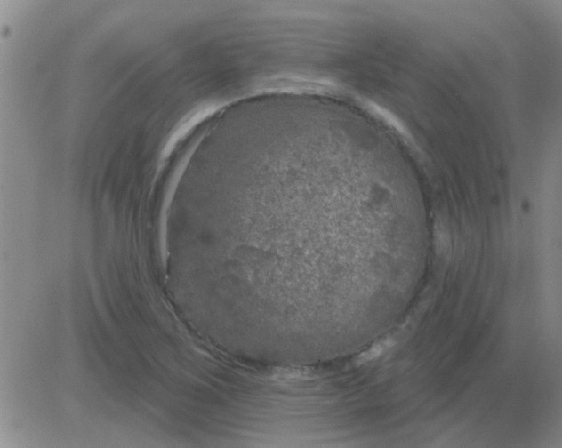 X0000083991267200703021930