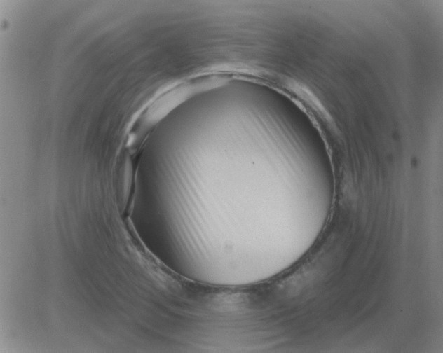 X0000083991268200703021930