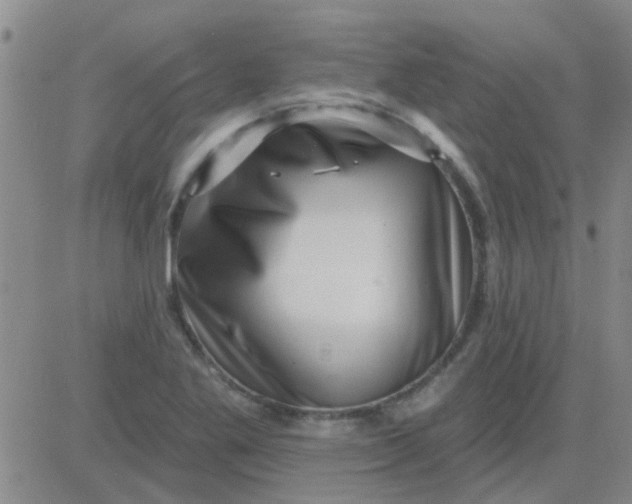 X0000083991269200703021930