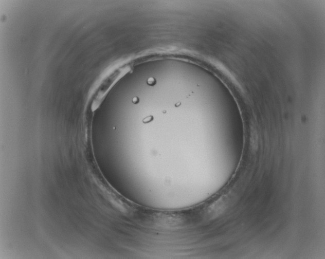 X0000083991270200703021930